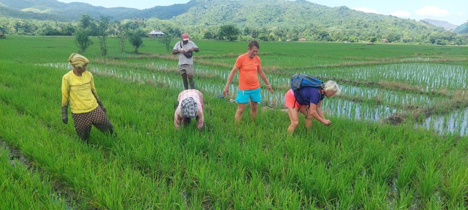 Inang Amang Homestay Labuan Bajo Bagian luar foto
